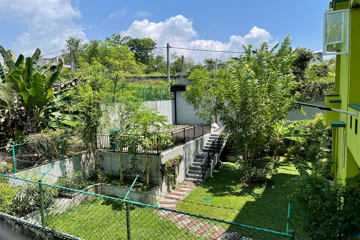 Breathtaking view of verdant paddy fields stretching into the distance