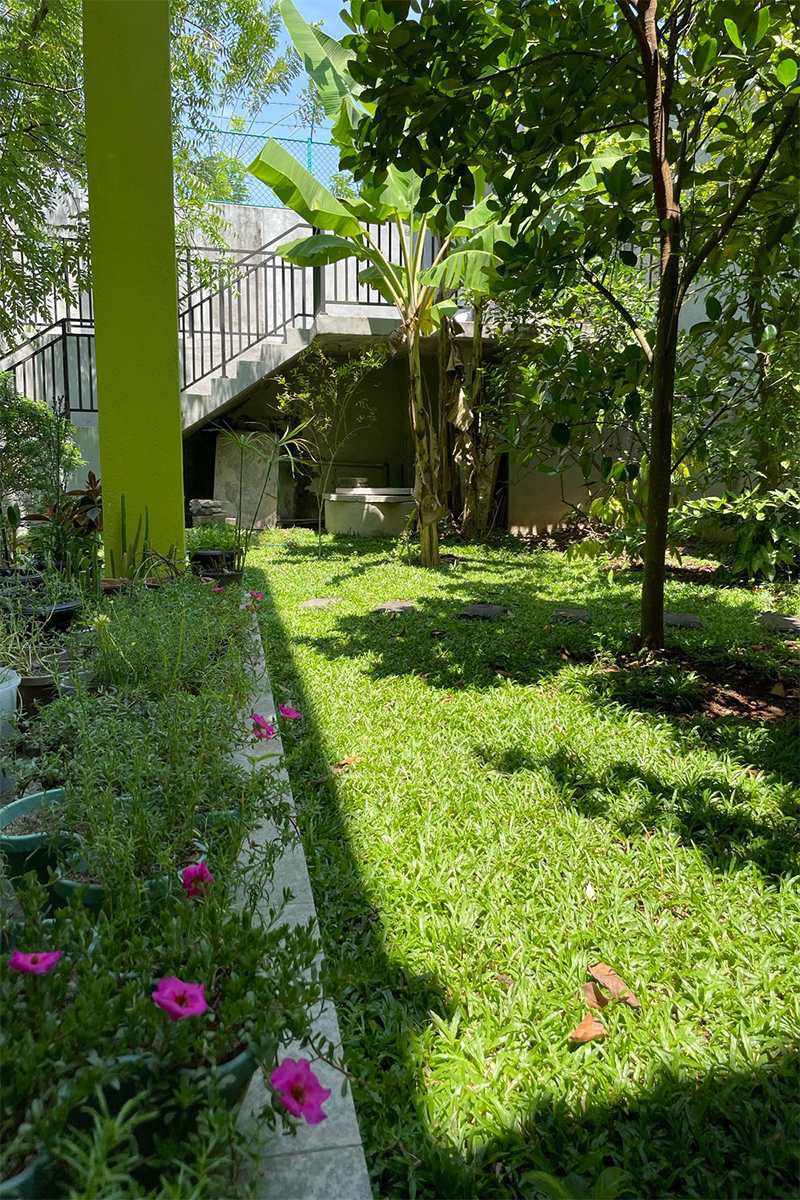 Panoramic vista of rice paddies showcasing the agricultural beauty of the region